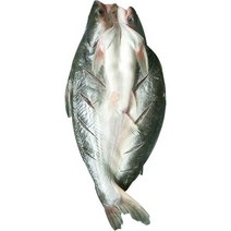 반제품 버들치 도매용 풀박스 통마리 무접점 등을 돌리는 물고기 대발 전선형, 1개, T12-1g 능성어 메콩고기-10 가닥
