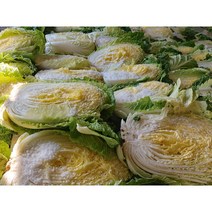 오늘애푸드 김장시즌 국내산 강원도 / 해남 절임배추20kg, 11월4일(토)도착