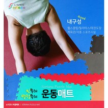 소리안나매트) 20T 운동매트/스포츠/태권도/헬스장 매트, 병정무늬 레드/블루