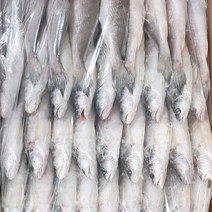 알짜푸드 업소용 민어조기 몽실 민어 도매 조기굴비 영산가이석태 6P [약120미], 6P 반통 6.5KG 미손질 (약 60미)