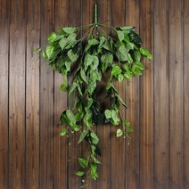 그린 잎사귀 행잉플랜트 촬영소품 1M 플랜트월 돌상 아기화관 백일상 플랜테리어