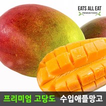 이츠올릿 프리미엄 애플 망고 4kg 8~10과 선물 세트 무지개 과일 답례품
