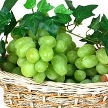 냉동과일 청포도1kg /DJ 간편한사용. 씨가없어 드시기 편리, 1KGX1팩