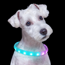 [애완용위치추적기] 리마이독 강아지 LED 넥밴드