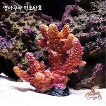 신바람 영아쿠아 인조산호 코랄 YA1719