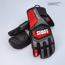 루디스 21/22 National Team 알파인 스키 스노보드 레이싱용 가죽 삼지 장갑 LGM4022 (정가대비 20%OFF+15%쿠폰), WT