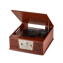휴라이즈 올인원 레트로 LP 턴테이블 플레이어 엔틱 빈티지오디오 블루투스스피커 TS100, 올인원 턴테이블 TS100