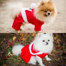알럽베이비 반려견 산타복 올인원, 레드