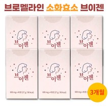 브이젠 브로멜라인 파인애플효소 소화효소 이너배리어 파파인, 6, 600mg/45정