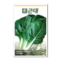 다농 근대 씨앗 10g