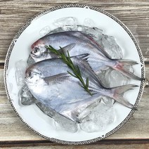 목포 당일바리 생물 병어 1kg (횟감선도) 내장제거 손질완료 병어회, 횟감 손질 병어 대 1kg (5-7미), 1개