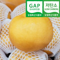 (자연마을) GAP저탄소 경북 상주 신고배 2kg 5kg 7.5kg, 1개