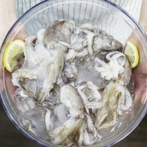 국산 활 쭈꾸미 1kg 2kg 3kg