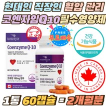 직장인 현대인 혈압낯추는법 코엔자임 큐텐 영양제 캐나다 식약처인증 높은 혈압 낮추는 큐텐 조효소 70대 80대 노인 코큐텐 항산화제 Q10 높은혈압감소 100mg 최대함량 중장년