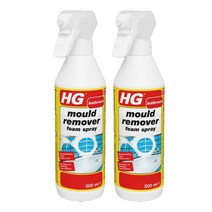 HG 강력 곰팡이제거제 1+1 다용도 곰팡이 방지 제거, 1개, 500ml