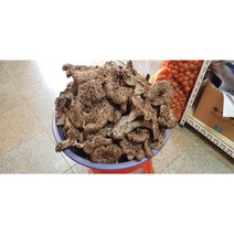 자연산 능이버섯 (국내산 특품 생능이버섯 ) 700 g, 1