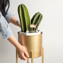북유럽 엔틱 인테리어 골드 화분 받침 다육이 진열대 금색 식물선반 정리대 스탠드, 슬림 원형 화분대(대)