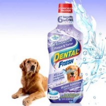 QSH509652덴탈후레쉬 독 어드밴스 프라그 치석 503ml(오랄케어), 1, 단품