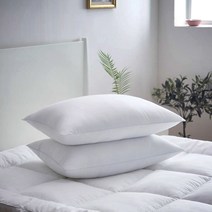 1+1 통세탁 항균베개솜 마이크로화이바 다운필 기능성베개솜(40X60/50X70) 8종, 1+1 우디 항균베개솜(50X70)/