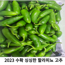 2023 국산 싱싱한 할라피뇨고추 1kg 4kg 국내산 신선한 아삭한 퍼펙트고추 피클용고추 아삭이고추 고추피클 생할라피뇨, 1개