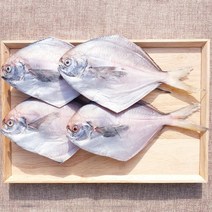 삼천포 용궁수산시장 반건조 생선 병어 4~5미