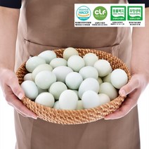 동물복지 무항생제 유정란 청란 청계닭 청계알 청계란, 42g, 20구