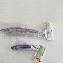 고양이 장난감 꽁치(20cm), 6개