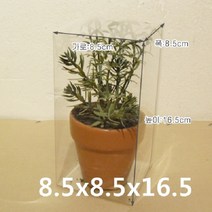 [방산소년단] 허브 투명상자 50개