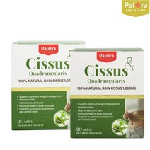 뉴질랜드 파이오라 시서스 알약 시저스 3개월분 CISSUS 시서스추출물 1000mg, 90정, 2박스