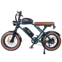 Eflash eBike 유압 브레이크 전기 자전거 듀얼 배터리 성인용 초장거리 라이딩 마일리지 산악 25Ah 350W, 01 25Ah 1000W Mechanice, 한개옵션1