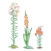 원예지주 철예 꽃꽂이 단식물 받침대 백합당창포털 황화파 꽃꽂이YQ111102, 녹색 90cm4 PC/세트, 중간