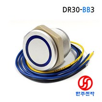 28파이 완전방수스위치 폭포수스위치 DR30-BB3 청색LED 12V24V겸용 방수IP68등급 HJ-01751
