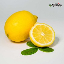 레몬100개 판매 사이트 모음