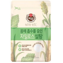 백설 매실 과일청 베이킹 하얀 자일로스설탕 500g, 1개