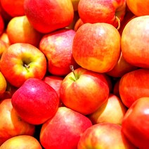 홍로사과 가정용 흠집 못난이 세척 사과, 홍로 흠과-소과 2kg(10-13), 1개