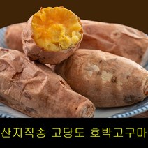 고씨네 특급 고구마2KG 호박고구마 밤고구 해남고구마, 특급 호박고구마 2kg, 1개