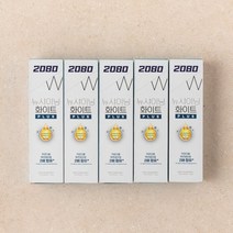 2080 뉴샤이닝화이트플러스치약140gx5개, 100g, 5개