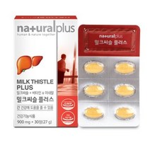 내츄럴플러스 간건강 밀크씨슬 60캡슐 3박스(6개월분), 60캡슐 x 3통, 1000mg