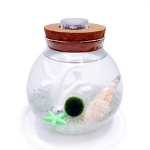 미니가든 [불켜지는병]원형라이트(소) 마리모 키우기 세트 어항, 투명