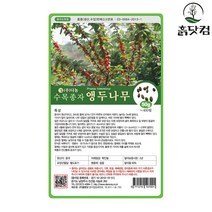 앵두나무 씨앗 50g 열매 가지 약재 수목 종자 + 네임택, 단품