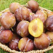 안동 생 푸룬 자두 선물용 2kg 새콤달콤 제철 과일 서양자두, 단품