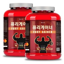 퓨리 게이너 4kg x 2통 [BCAA+보틀증정] FURY GAINER