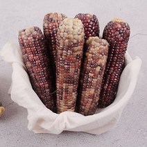 옥과농협 찐 흑찰옥수수 특품 3개입 X 5팩 15cm 내외 (냉동), 단품