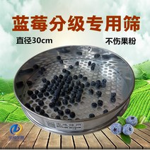 블루베리 수동 선별기 곡식 곡물 13가지 사이즈 10mm 15mm 20mm 등, I 16mm개