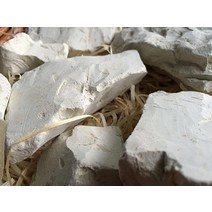녹색 식용 점토 청크 (덩어리) 먹기용 천연 (음식) 1 lb (450 g)