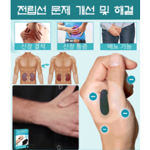 South Moon 신체 건강 관리 용품 신장 케어 클립 신장 보강 경혈 마사지 체내 해독/불순물 제거/신장 기능 개선, 신장 케어 클립*4개