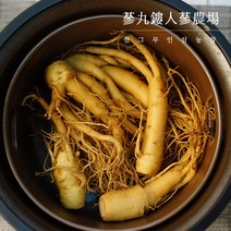 손질한 수삼 국내산 5-6년근 인삼 수삼 오쿠용 믹서용 홍삼용, 선택4 길쭉한 인삼 600g
