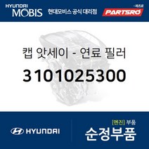 싼타페 더스타일 가솔린 순정 주유구캡 연료캡 커버 덮개 (3101025300)
