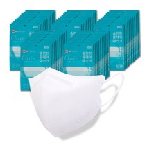 (L size) KF94 숨편한 클레어마스크 스탠다드핏 대형 50매, [KF94] 대형 - 화이트 50매
