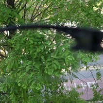 농구 고글 야구선글라스 축구 골프 싸이클 스포츠 선글라스 마라톤 자전거 테니스